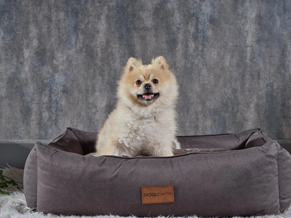 DOQU DOGBED EVCİL HAYVAN YATAĞI 70 X 50 X 23 CM - ANTRASİT