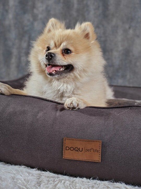 DOQU DOGBED EVCİL HAYVAN YATAĞI 70 X 50 X 23 CM - ANTRASİT