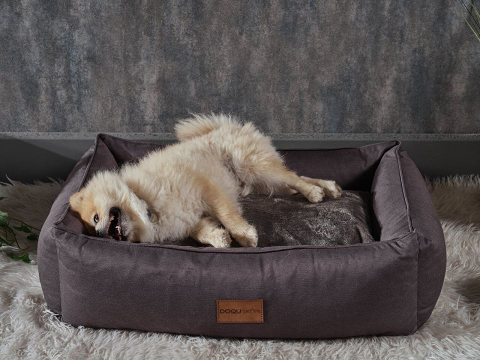 DOQU DOGBED EVCİL HAYVAN YATAĞI 70 X 50 X 23 CM - ANTRASİT